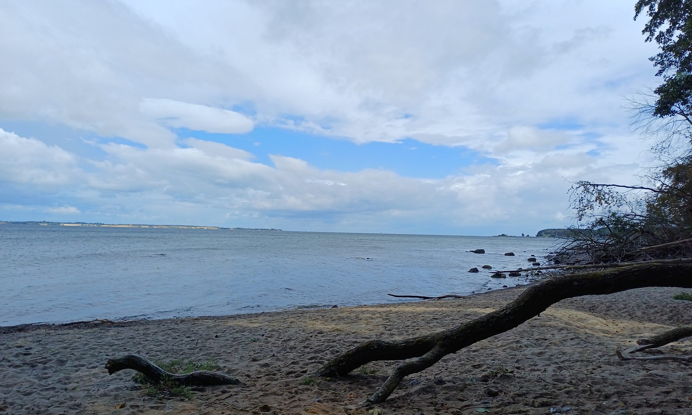 Strand mit Treibholz an der Ostsee unter weitem Himmel